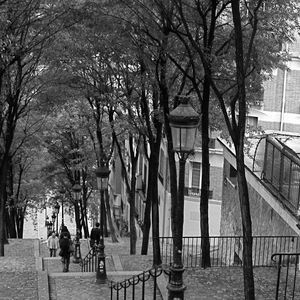 Meet your Posher, Robert